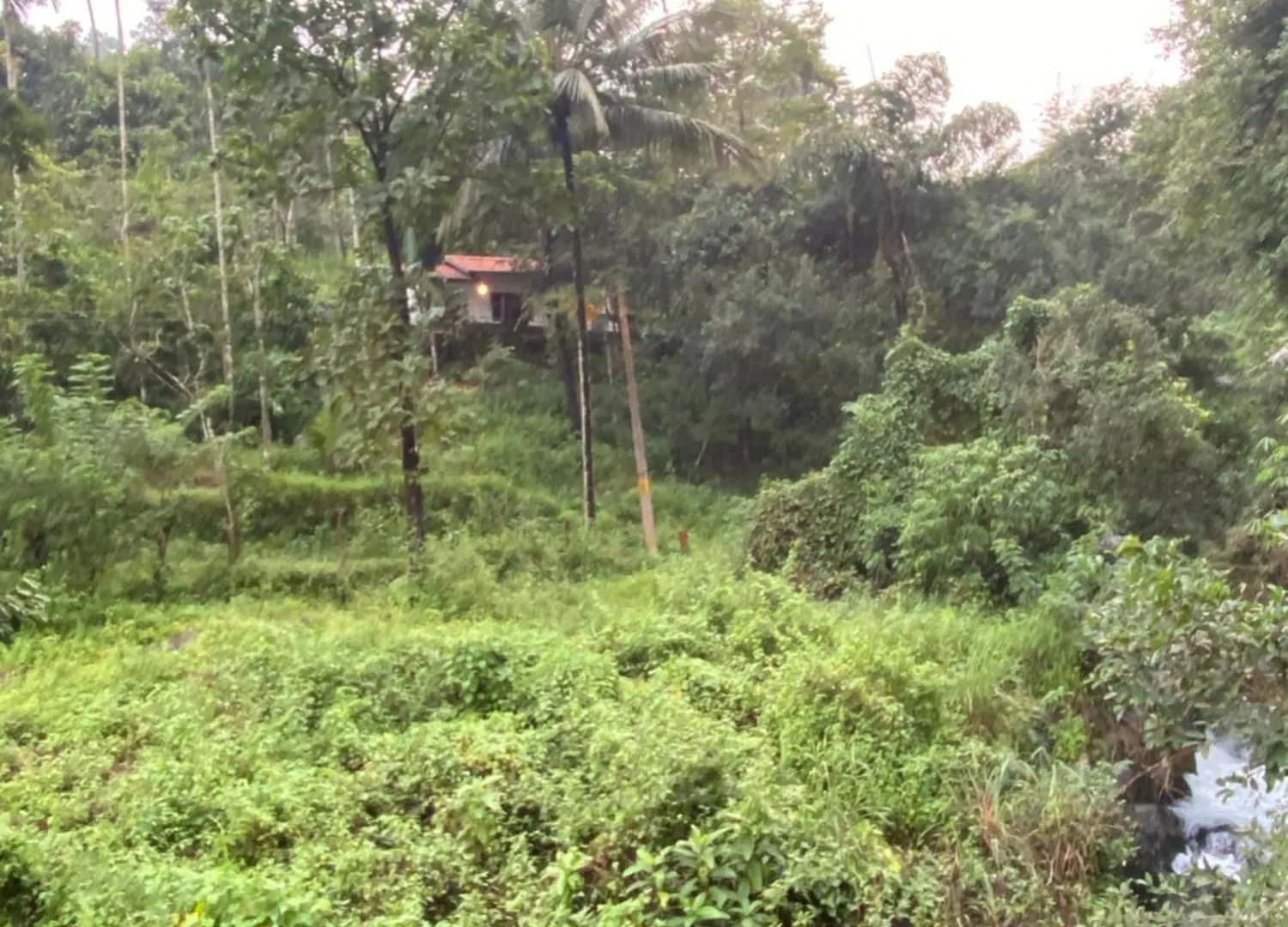 Plantation Stay Kuttyadi India