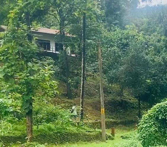 Plantation Stay Kuttyadi